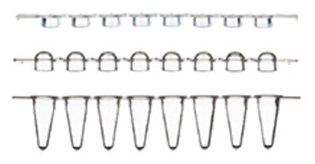 ABgene Strips of 8 Low Profile Tubes (White) & Ultra Clear Cap Strips 