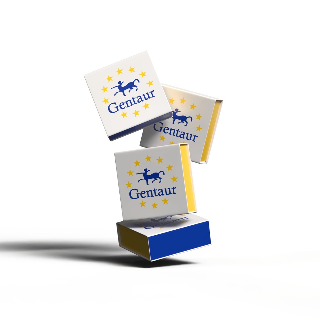 GelBond Film 0.2 mm 124 x 258 mm 