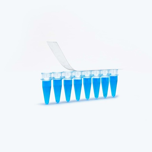 [GEN - WB 2750] AmpliStar Ultrastrong Adhesive PCR Film Strips